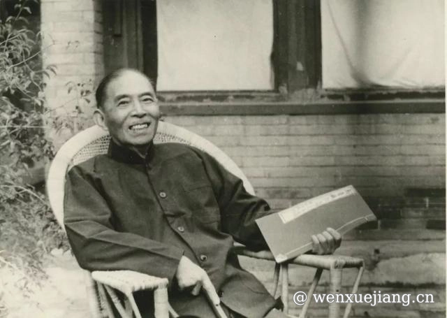 <p>晚年的茅盾</p>